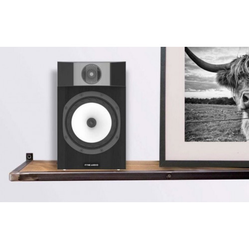 Fyne Audio F301 Black Ash