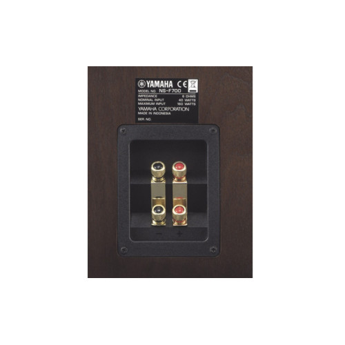Yamaha NS-F700 Brown