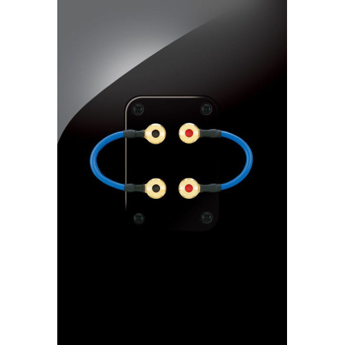 Yamaha NS-F901 Piano Black