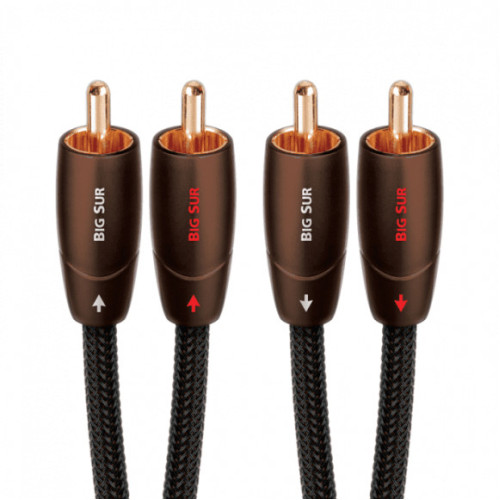 AUDIOQUEST BIG SUR 2RCA - 2RCA 1.0 м