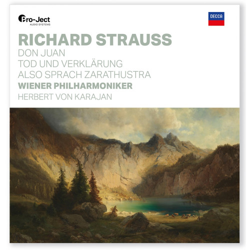 Вініловий диск LP Richard Strauss 