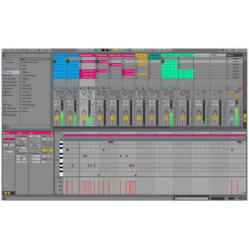 Ableton Live 10 Standard, EDU