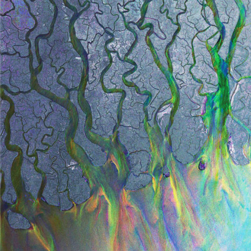 Вініловий диск Alt-J: An Awesome Wave