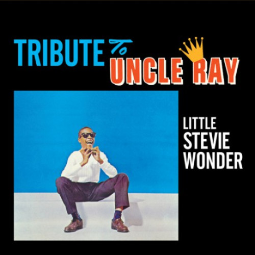 Вініловий диск Stevie Wonder: Little-Tribute To Uncle Ray.. /2LP