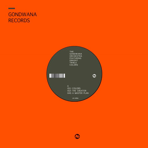 Вініловий диск The Gondwana Orchestra: Colors /12