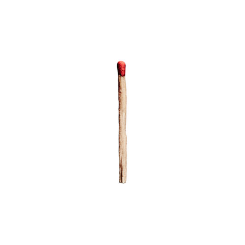 Вініловий диск Rammstein: Rammstein /2LP