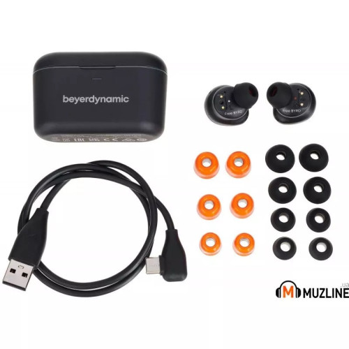 Beyerdynamic Free Byrd black