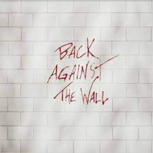 Вініловий диск Pink Floyd: Back Against the Wall -Coloured /2LP