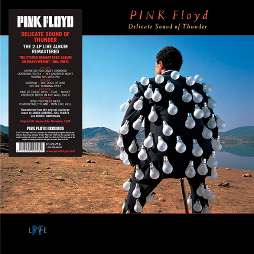 Вініловий диск Pink Floyd: Delicate Sound Of Thunder /2LP