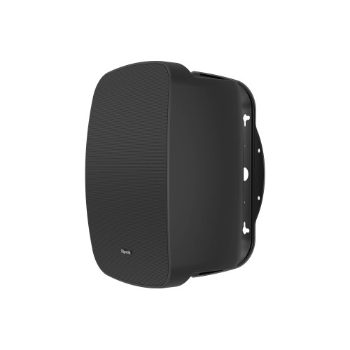 Klipsch All Weather RSM-525 Black