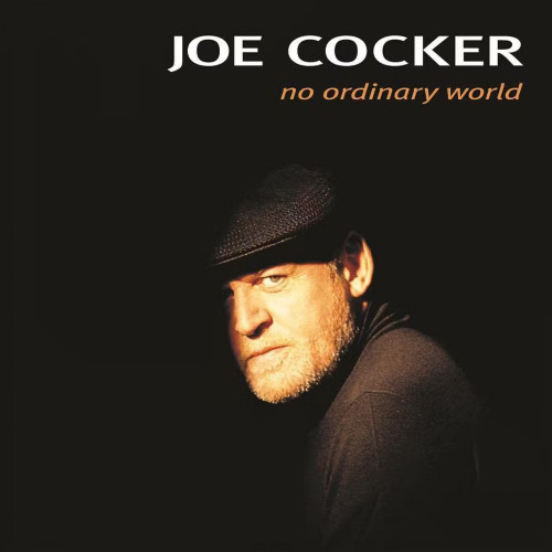 Вініловий диск Joe Cocker: No Ordinary World