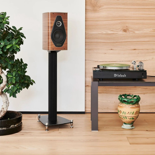 Sonus Faber Olympica Nova I Walnut
