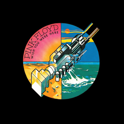 Вініловий диск Pink Floyd: Wish You Were Here