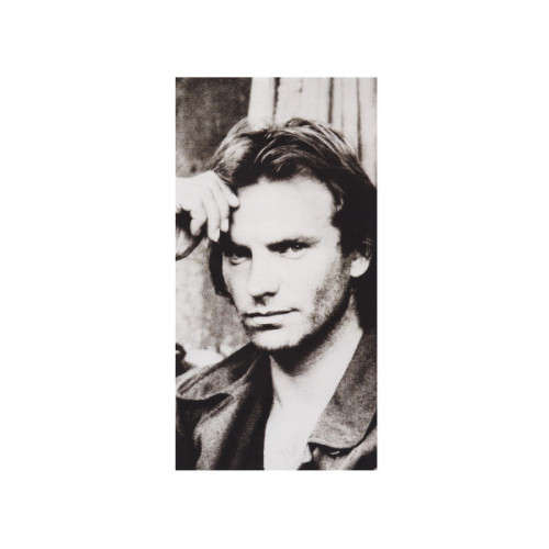 Вініловий диск Sting: Nothing Like The Sun /2LP
