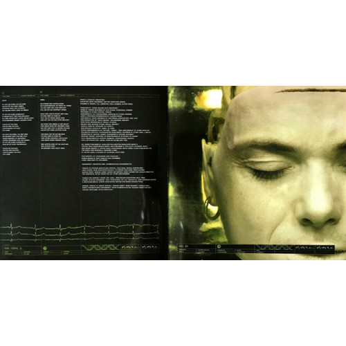 Вініловий диск Rammstein: Mutter /2LP