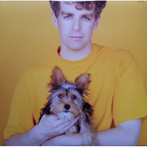 Вініловий диск Pet Shop Boys: Introspective (2018)