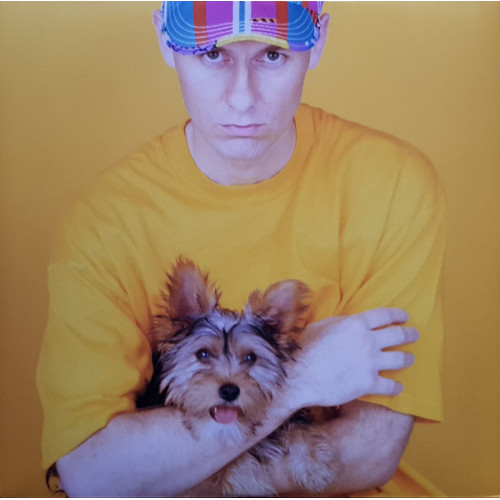 Вініловий диск Pet Shop Boys: Introspective (2018)
